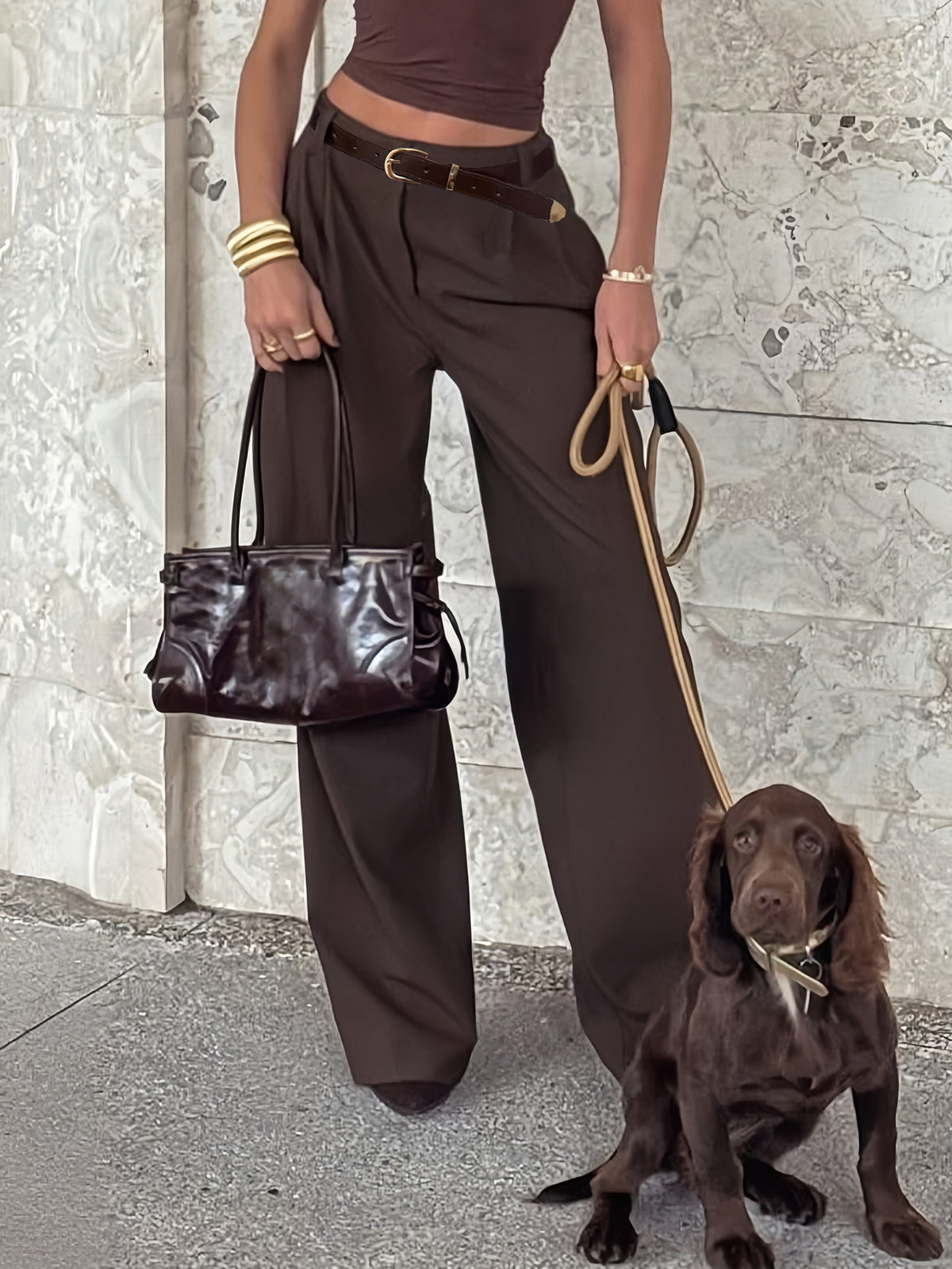Rosia | Belted Wide-Leg Dress Pants